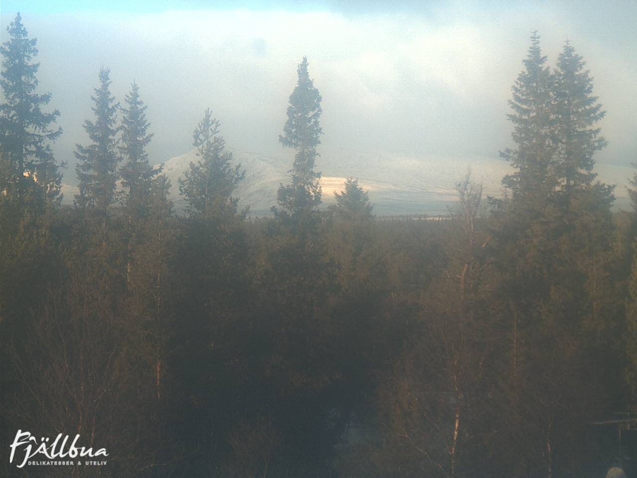 Fjällbua webcam 2024-12-11 12:00