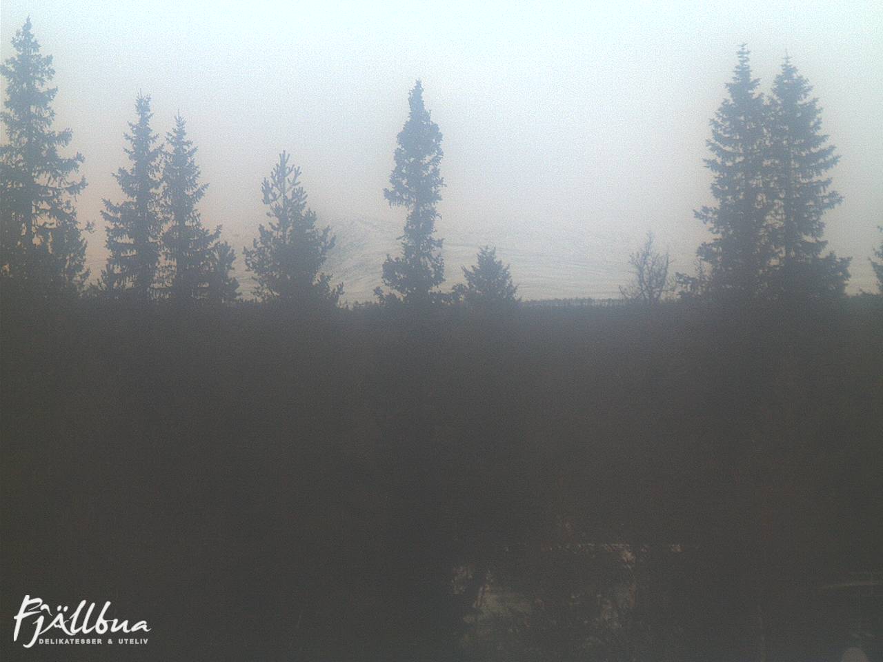 Fjällbua webcam 2024-12-11 14:00