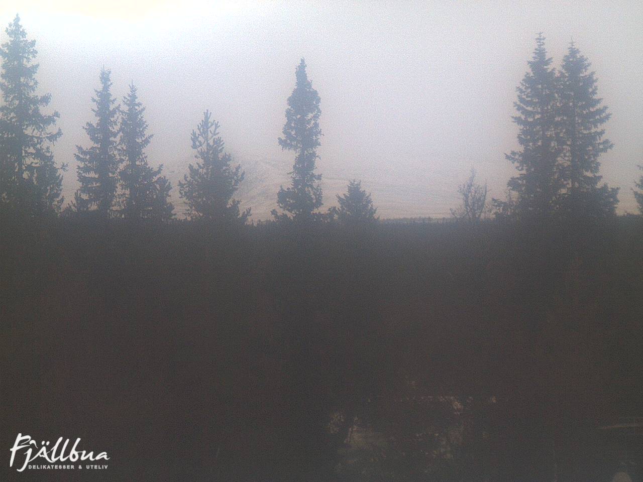 Fjällbua webcam 2024-12-11 14:30