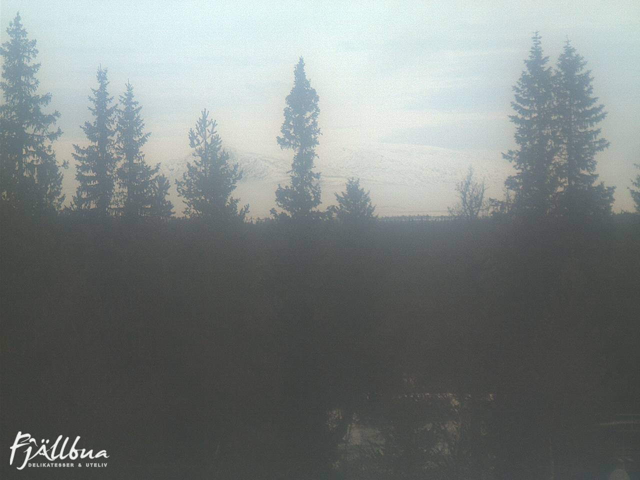 Fjällbua webcam 2024-12-13 10:30