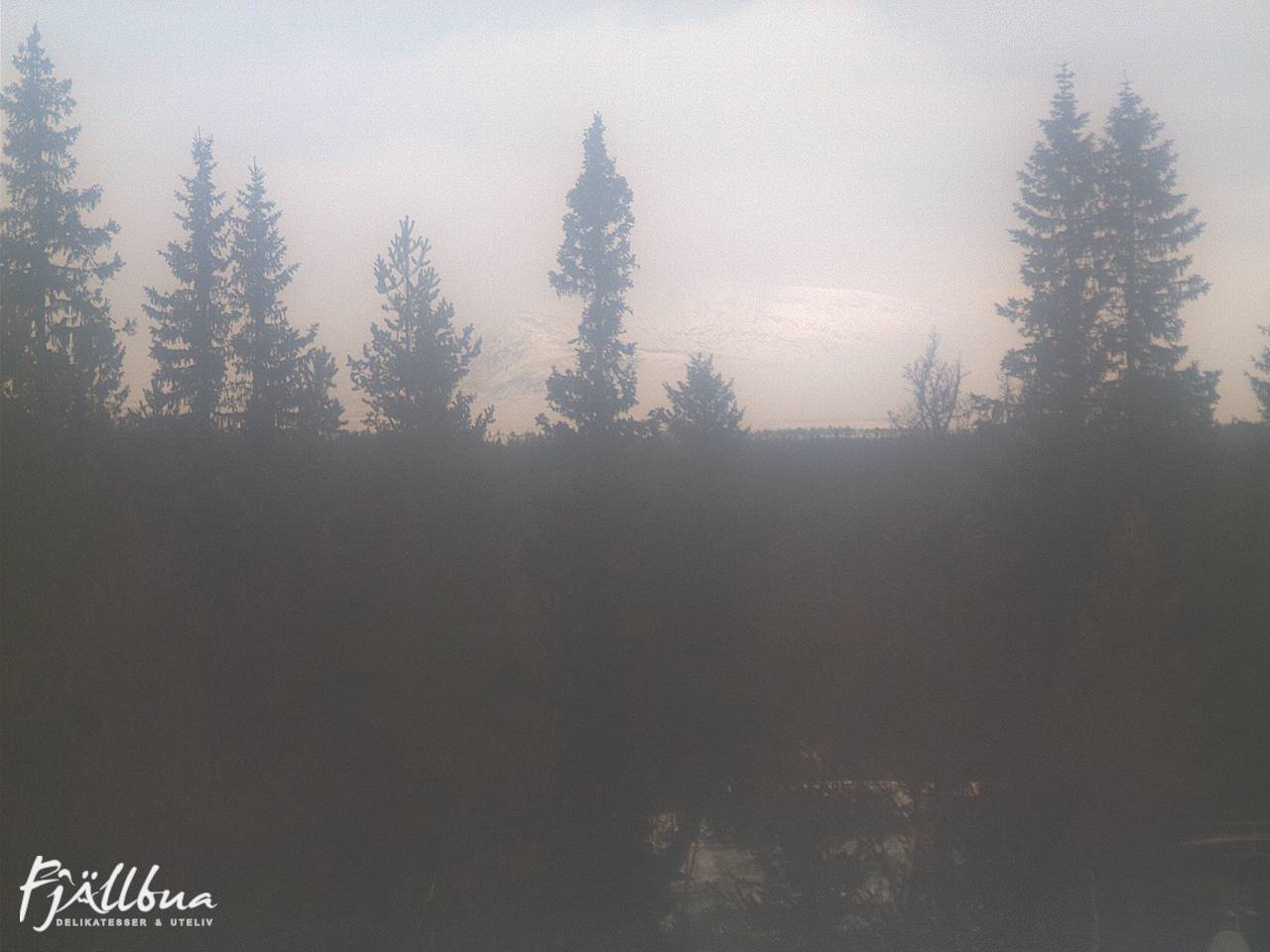 Fjällbua webcam 2024-12-13 11:00