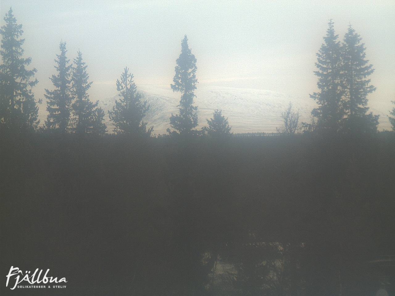 Fjällbua webcam 2024-12-13 12:00