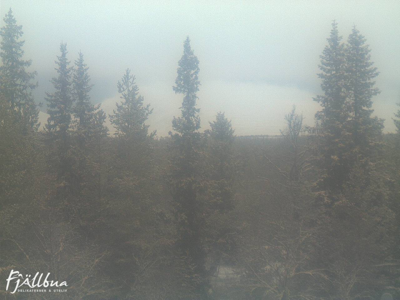 Fjällbua webcam 2024-12-14 10:00