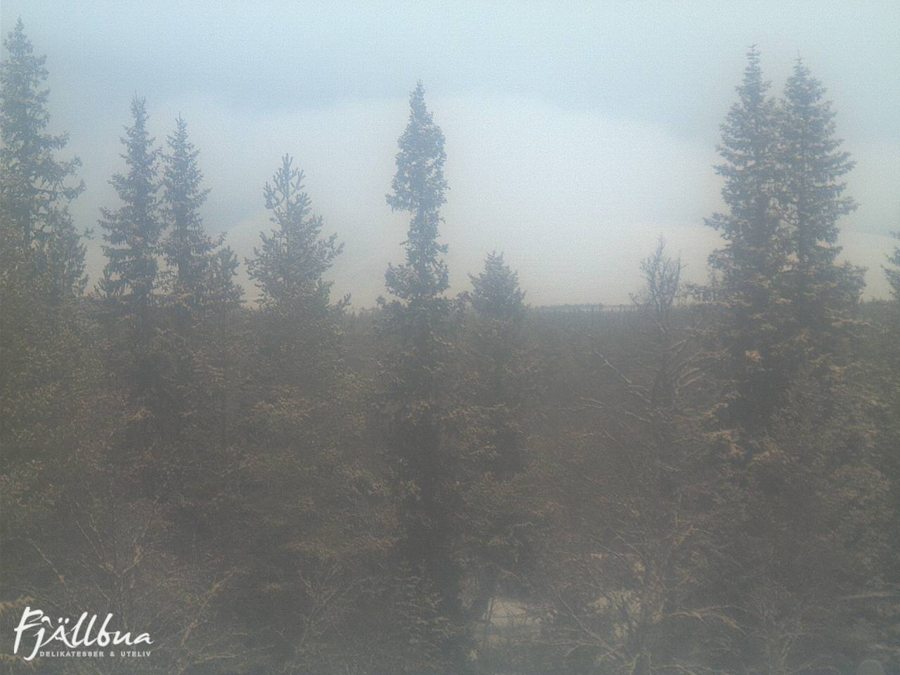 Fjällbua webcam 2024-12-14 10:30