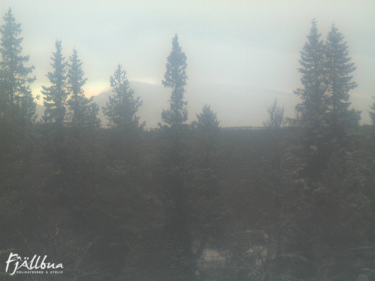 Fjällbua webcam 2024-12-14 11:00