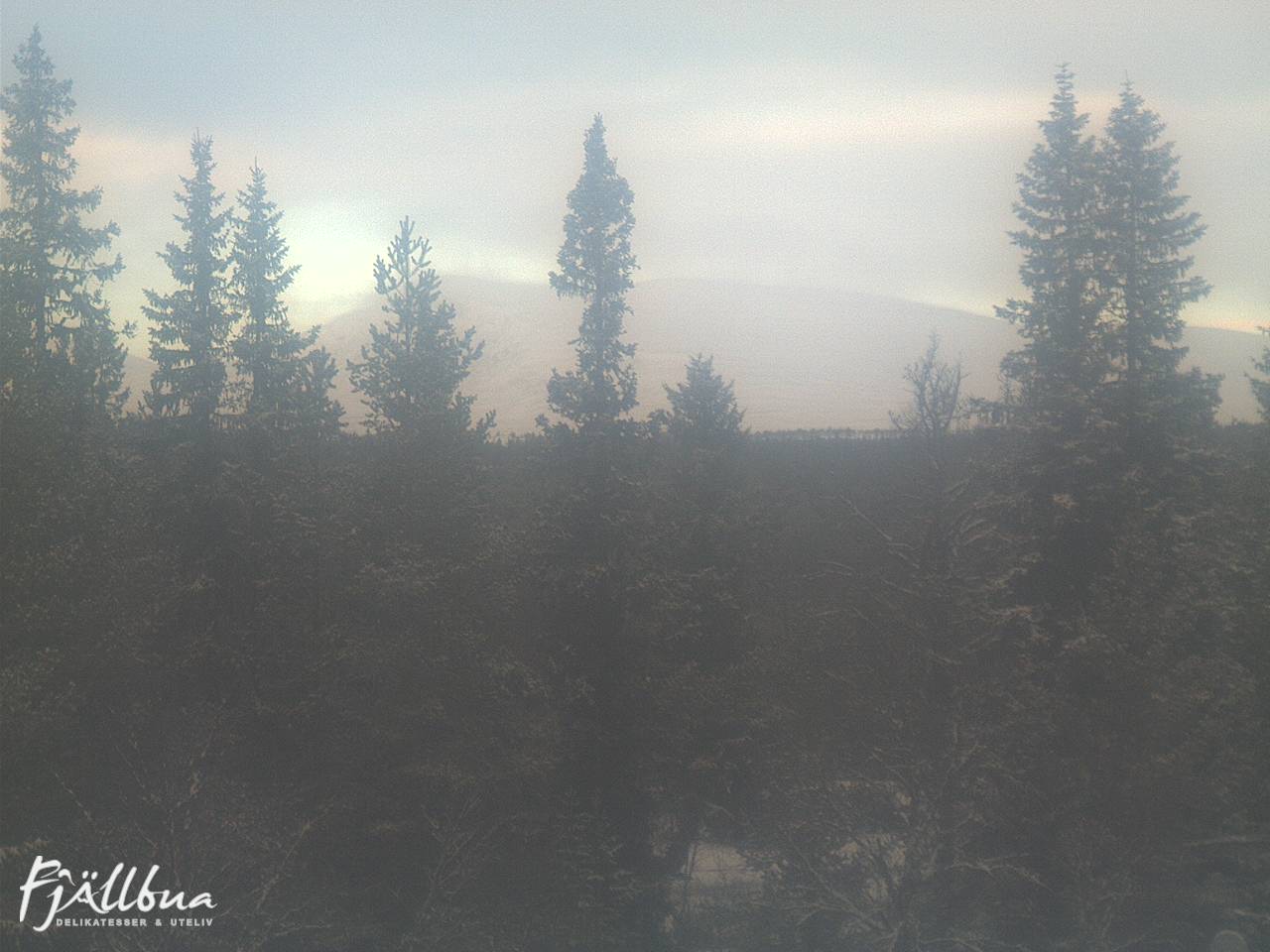 Fjällbua webcam 2024-12-14 11:30