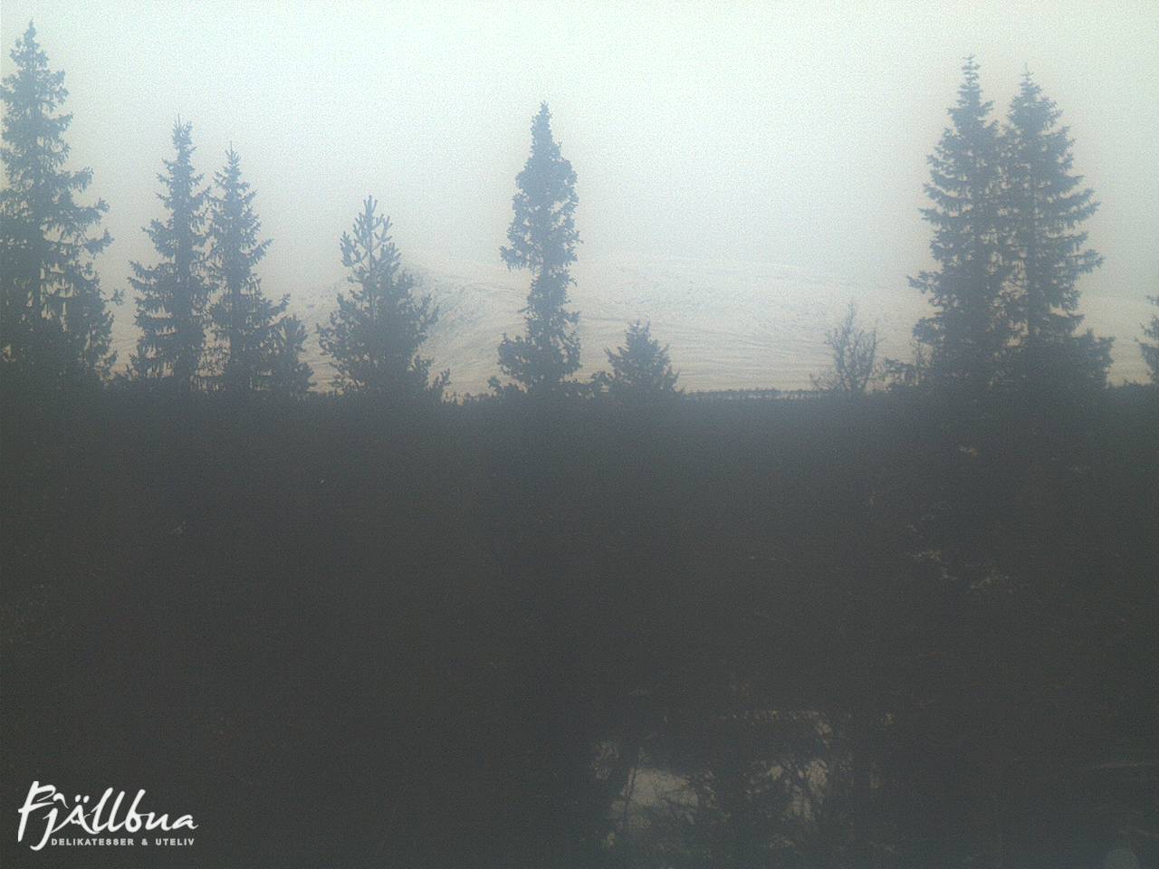 Fjällbua webcam 2024-12-15 10:00