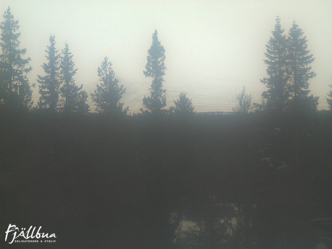 Fjällbua webcam 2024-12-15 10:30