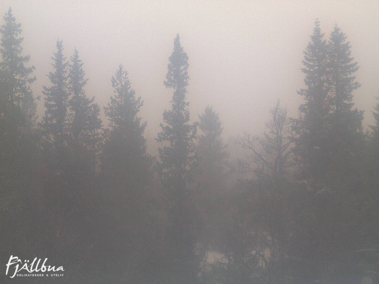 Fjällbua webcam 2024-12-15 11:30