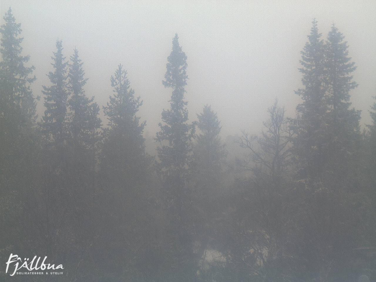 Fjällbua webcam 2024-12-15 12:30
