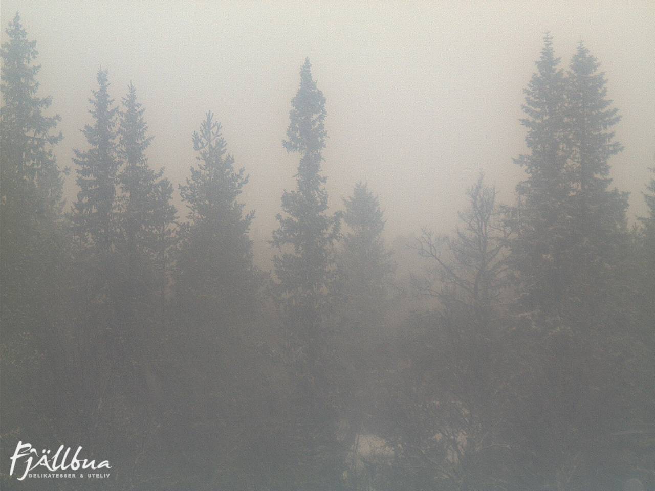 Fjällbua webcam 2024-12-15 13:00