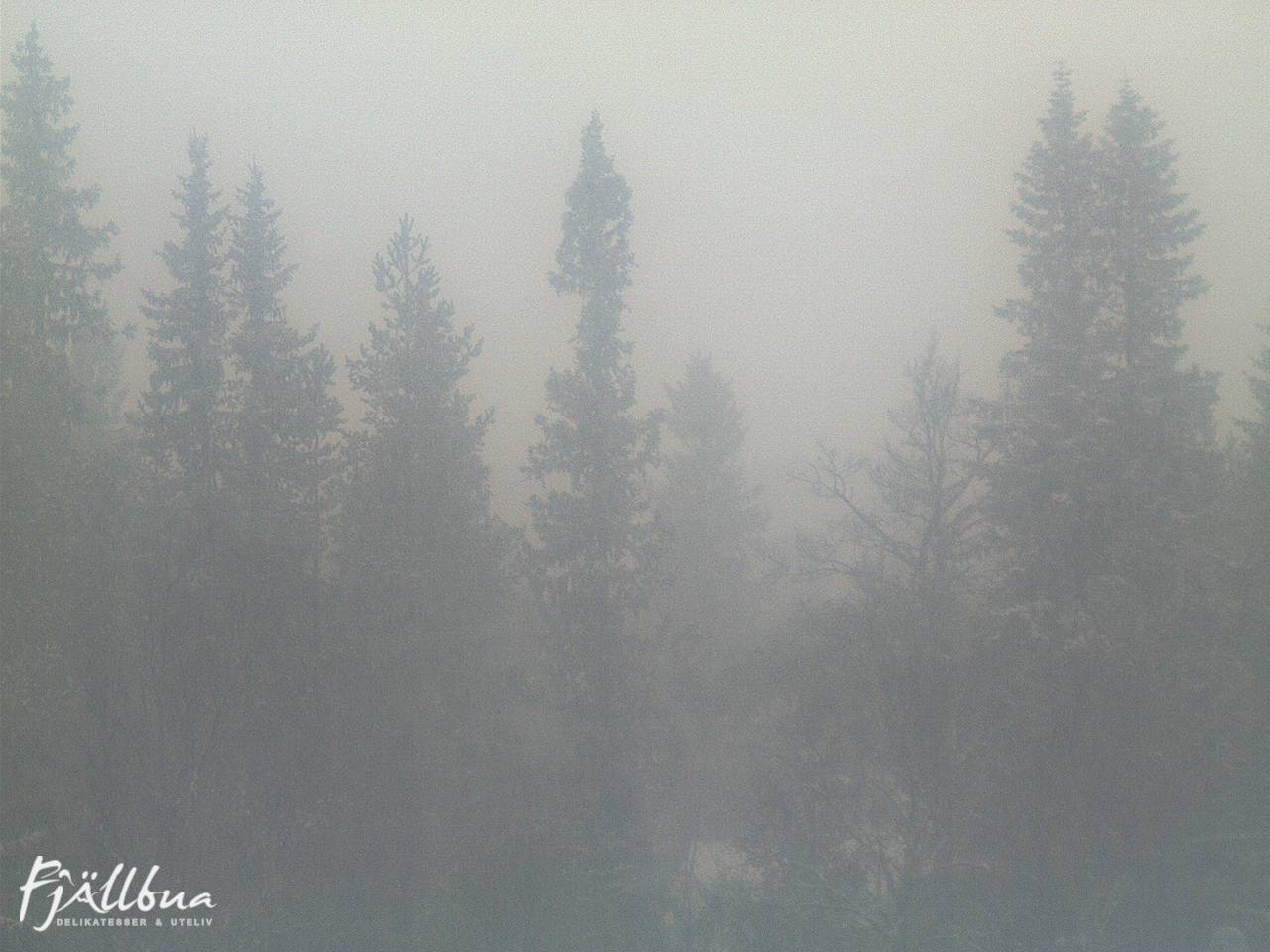 Fjällbua webcam 2024-12-15 13:30
