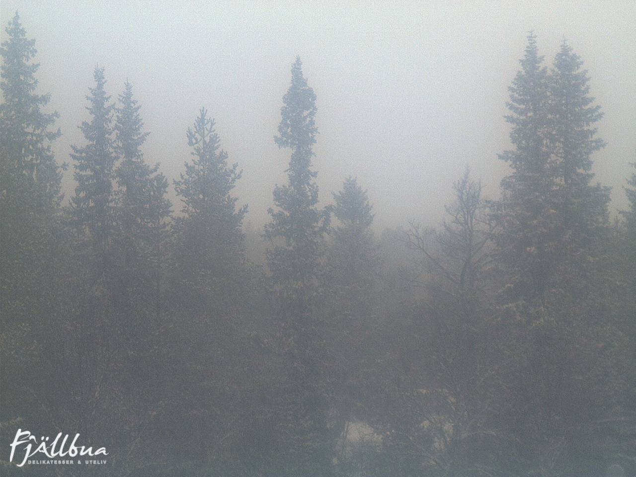 Fjällbua webcam 2024-12-15 14:00