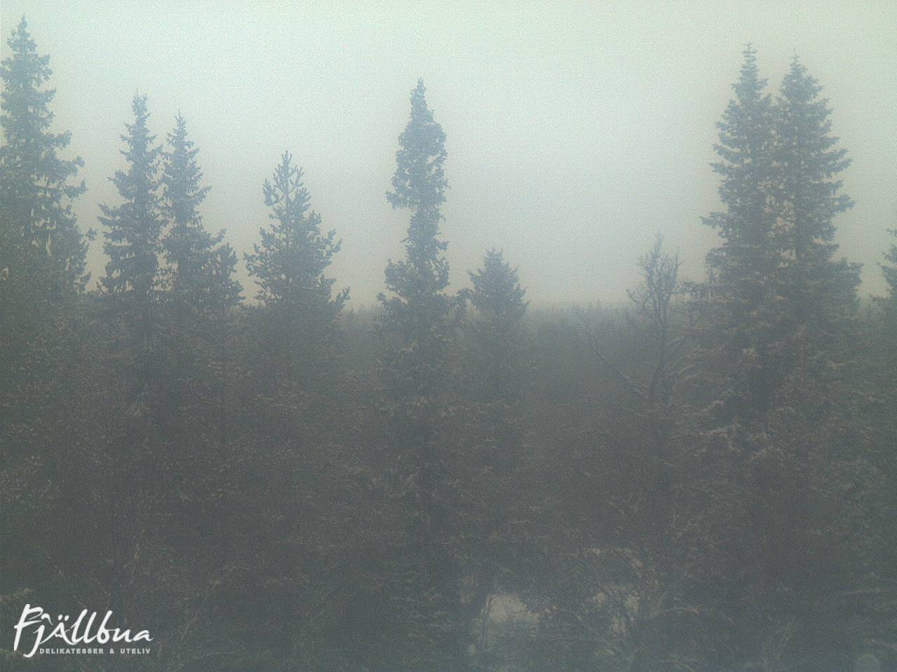 Fjällbua webcam 2024-12-15 14:30