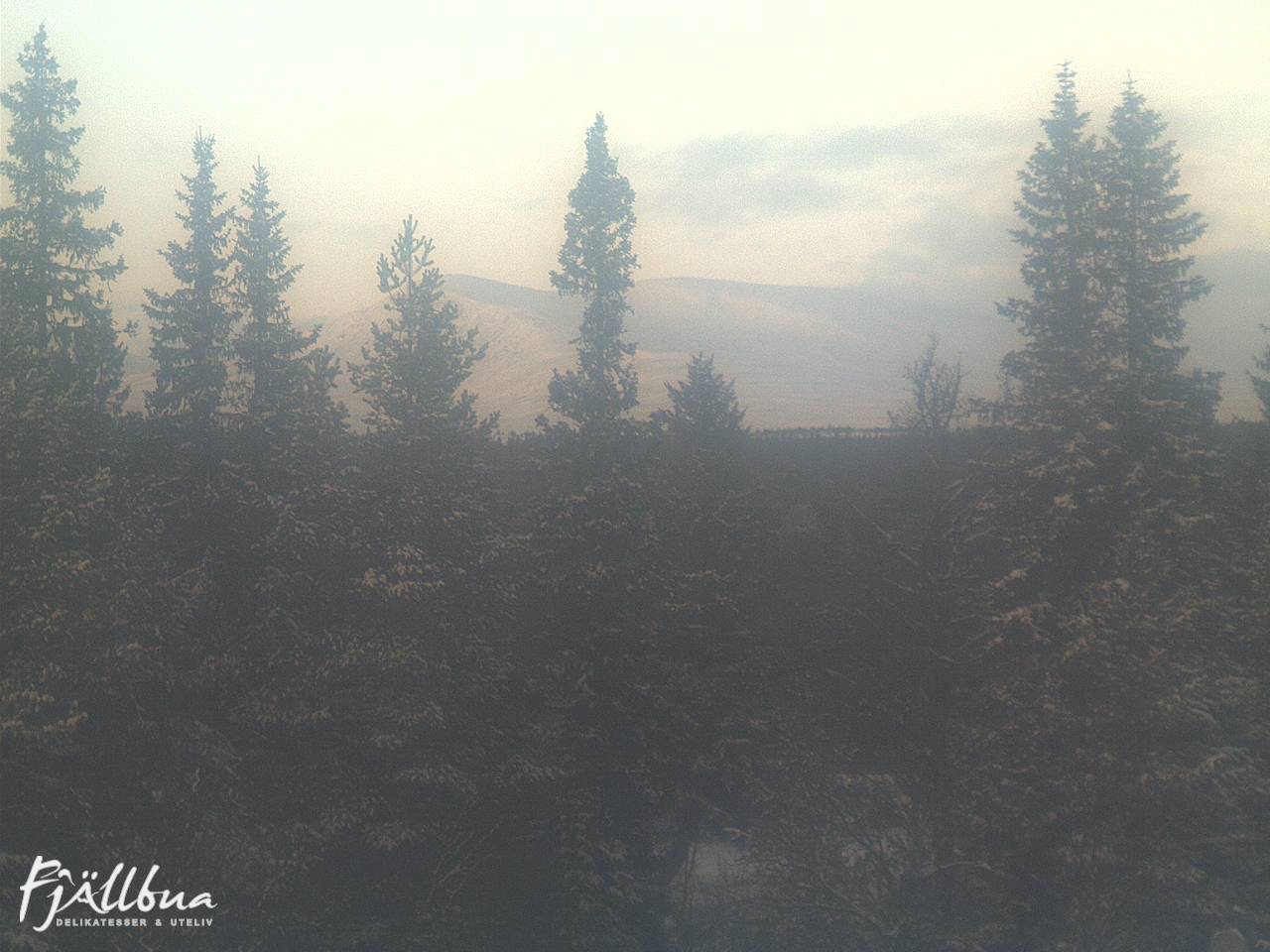 Fjällbua webcam 2024-12-16 14:00