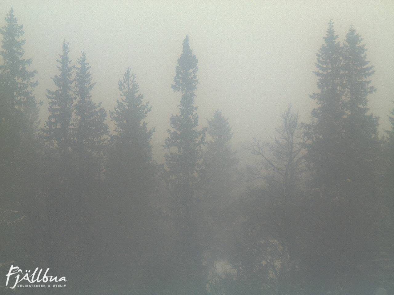Fjällbua webcam 2024-12-18 10:00