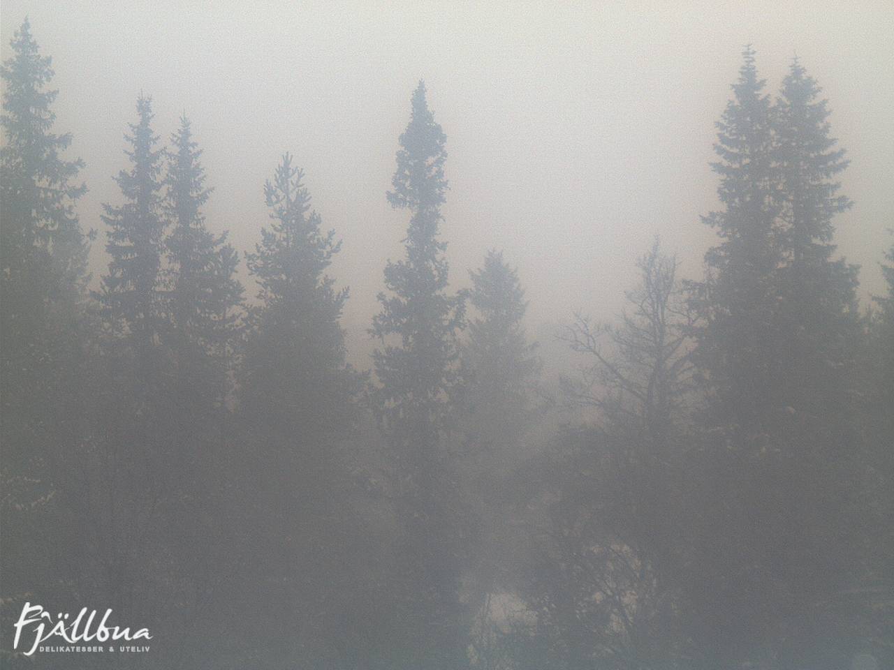 Fjällbua webcam 2024-12-18 10:30