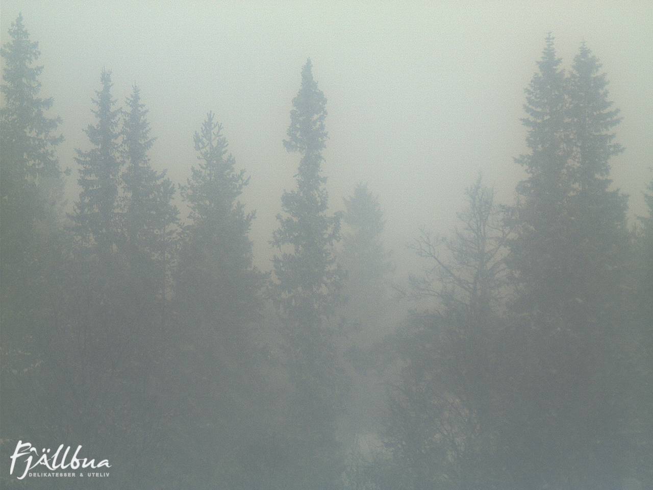 Fjällbua webcam 2024-12-18 11:30