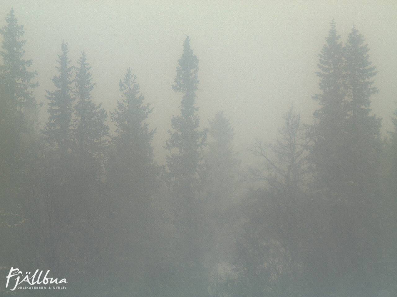Fjällbua webcam 2024-12-18 12:00