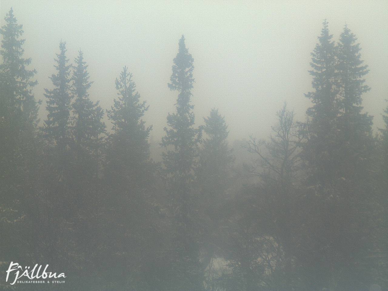 Fjällbua webcam 2024-12-18 12:30