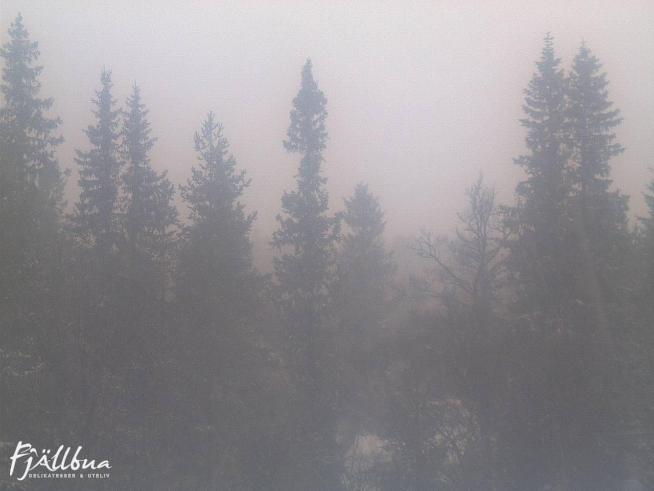 Fjällbua webcam 2024-12-18 13:00