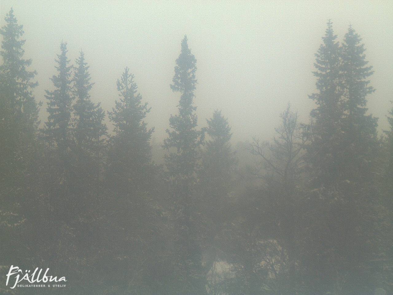 Fjällbua webcam 2024-12-18 14:00
