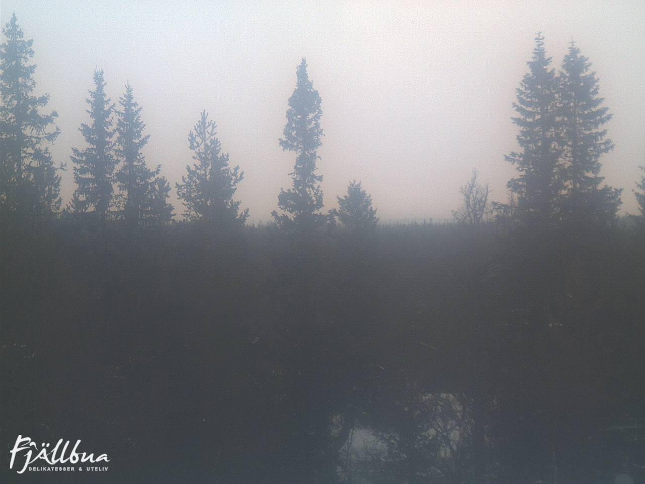 Fjällbua webcam 2024-12-20 10:00