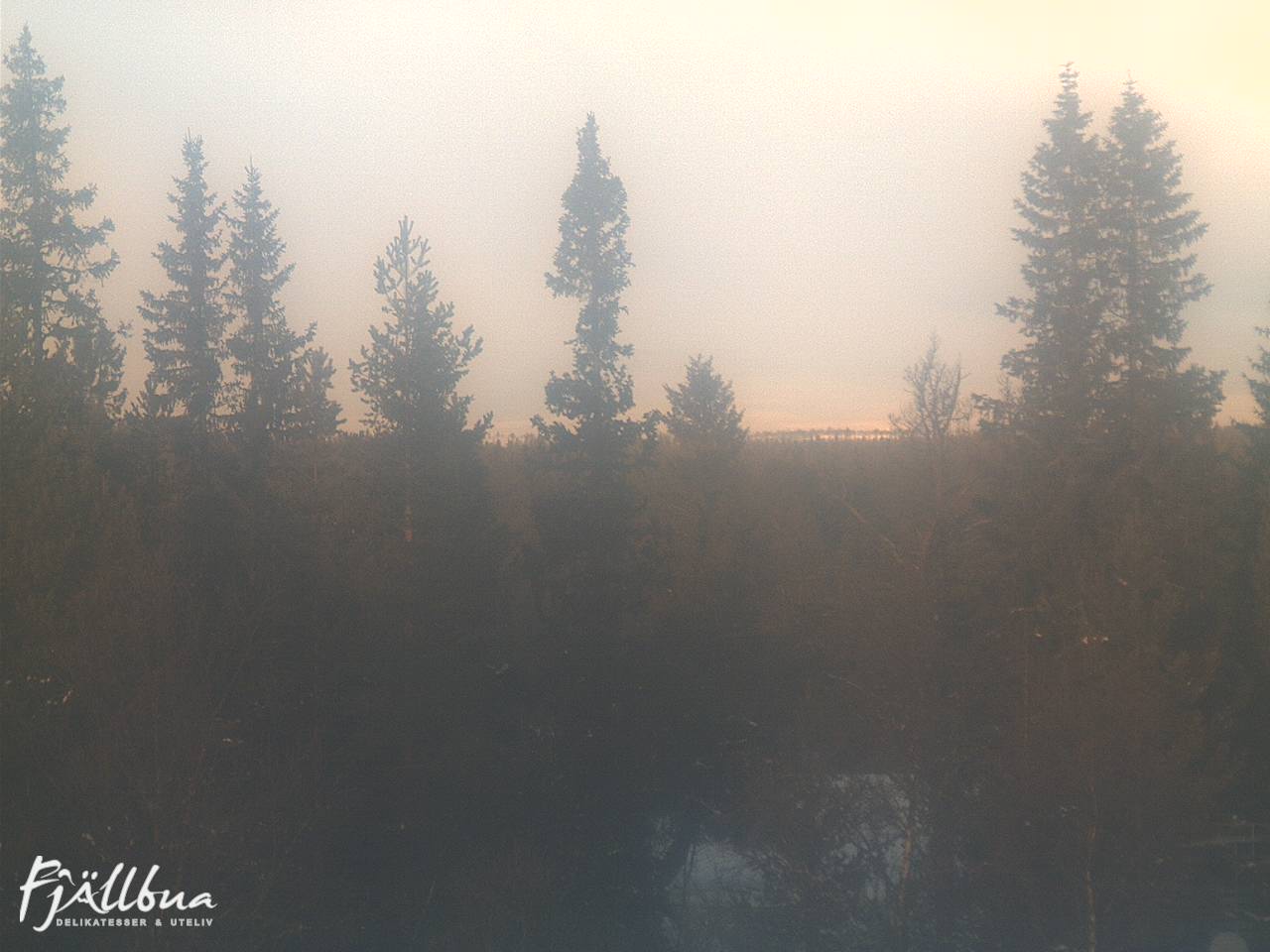 Fjällbua webcam 2024-12-20 10:30