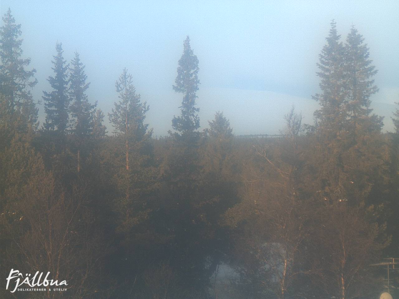 Fjällbua webcam 2024-12-20 11:00