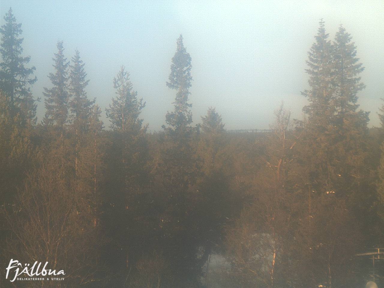 Fjällbua webcam 2024-12-20 12:00