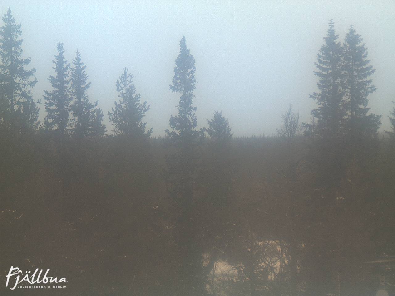 Fjällbua webcam 2024-12-20 13:00