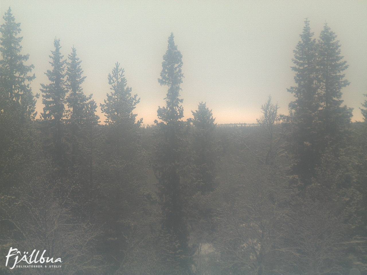Fjällbua webcam 2024-12-21 10:00