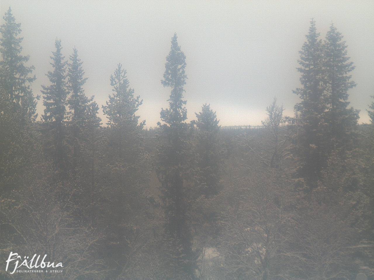Fjällbua webcam 2024-12-21 10:30