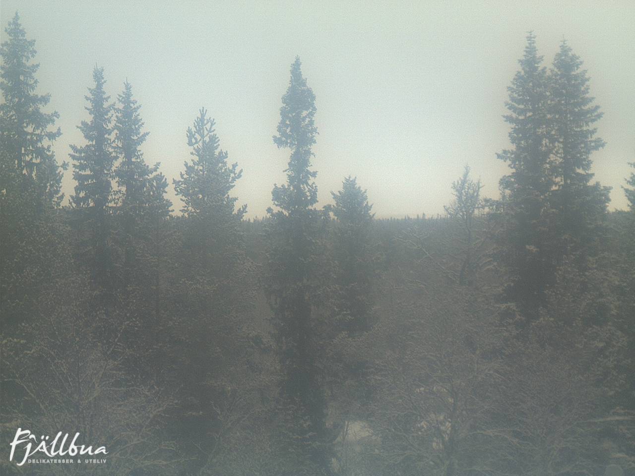 Fjällbua webcam 2024-12-21 11:00