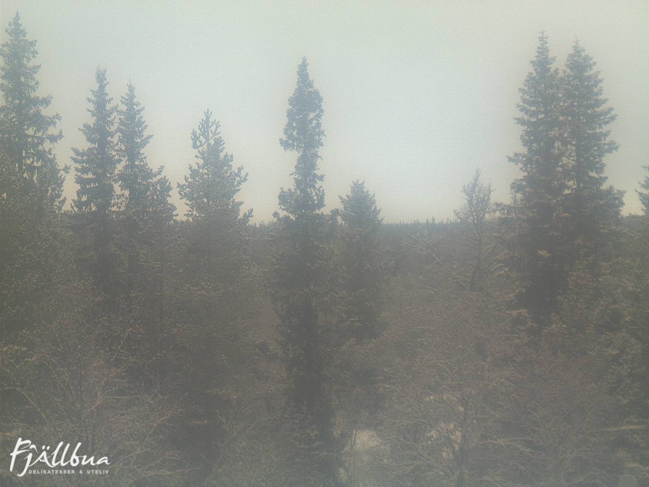 Fjällbua webcam 2024-12-21 11:30