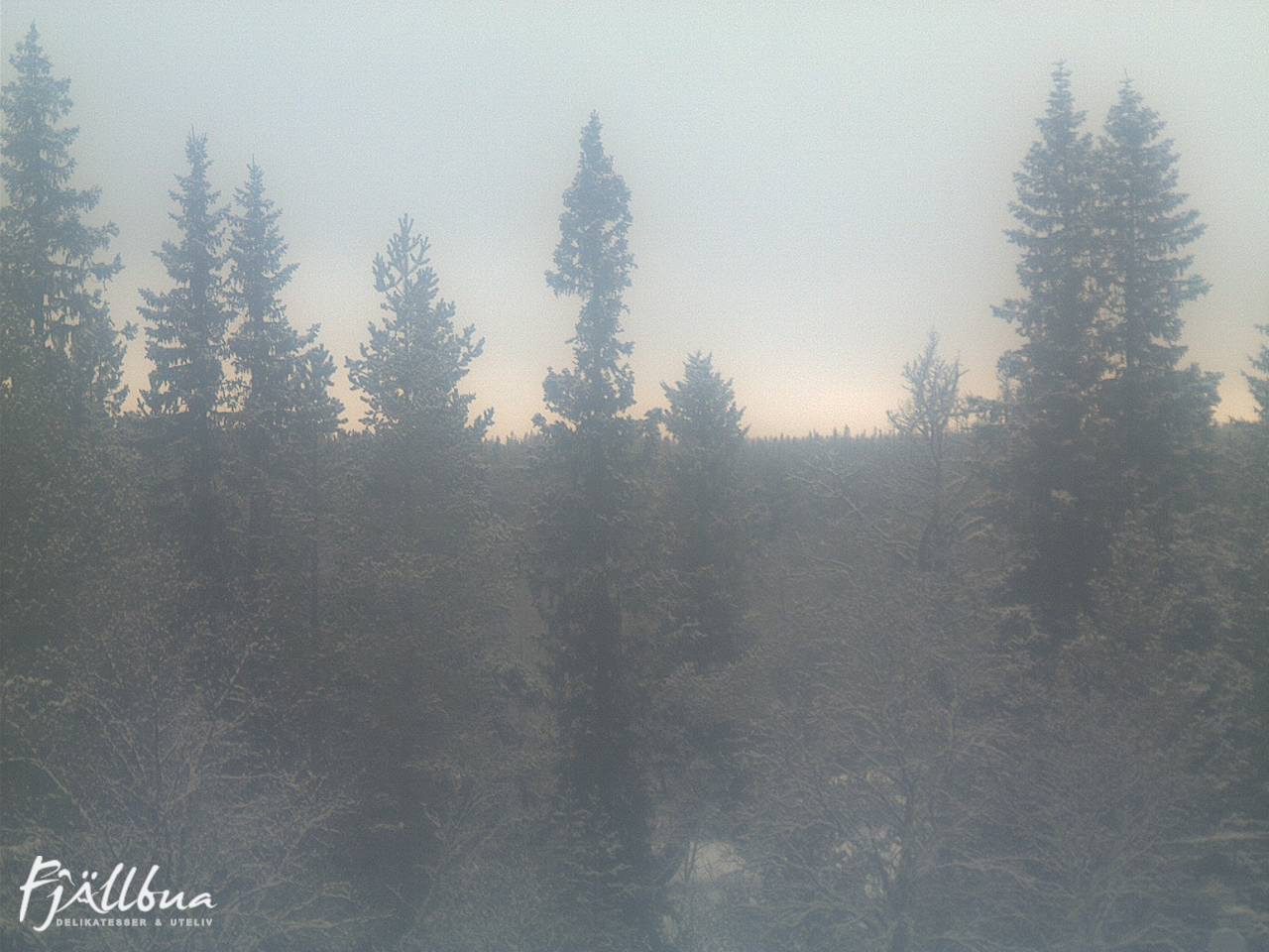 Fjällbua webcam 2024-12-21 12:00