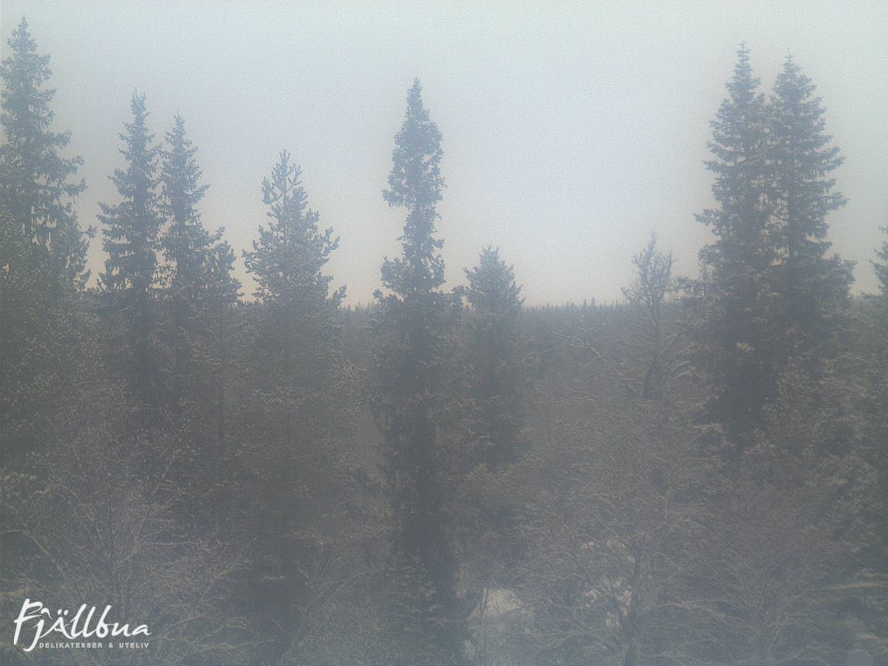 Fjällbua webcam 2024-12-21 12:30