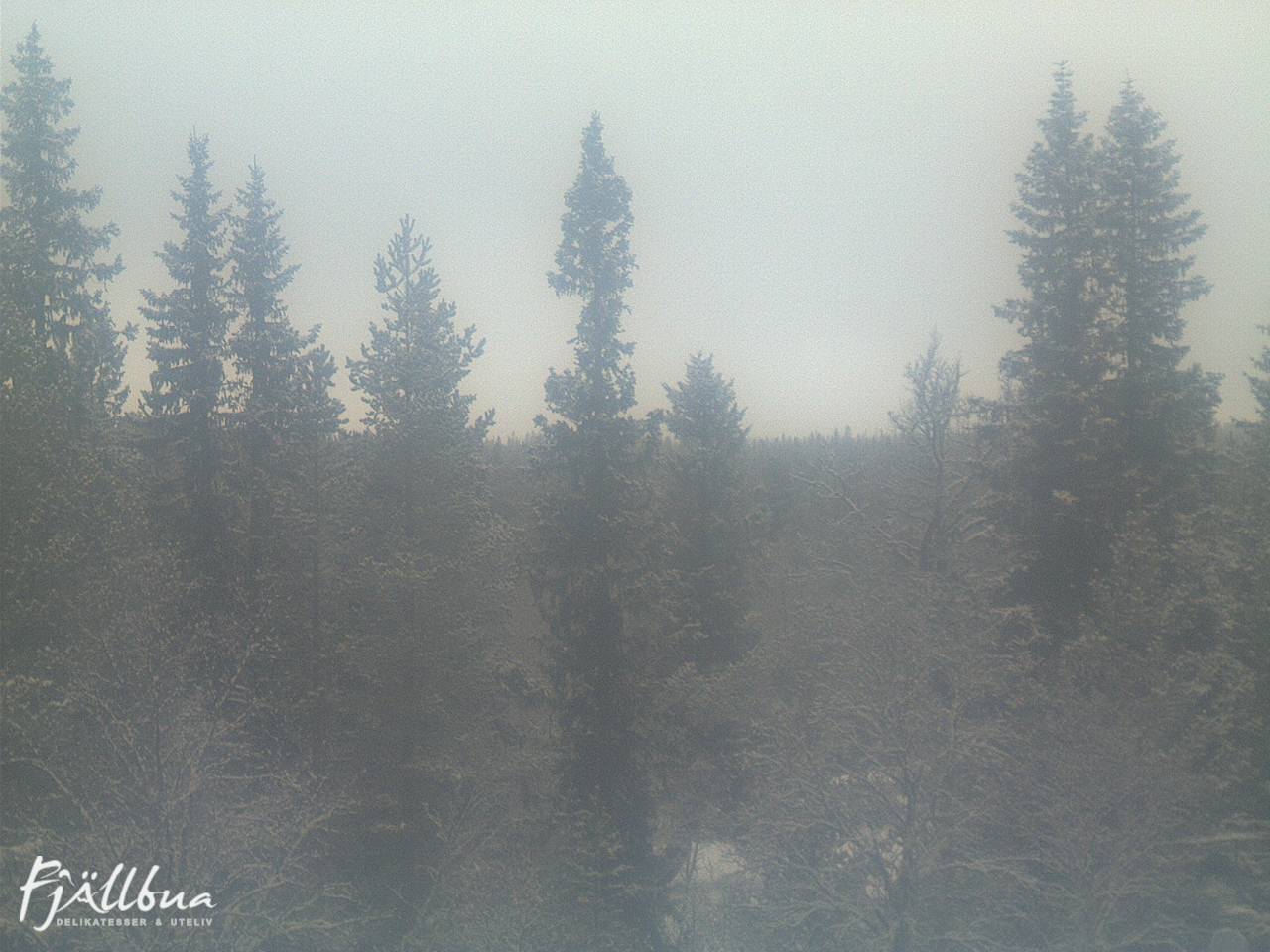 Fjällbua webcam 2024-12-21 13:30