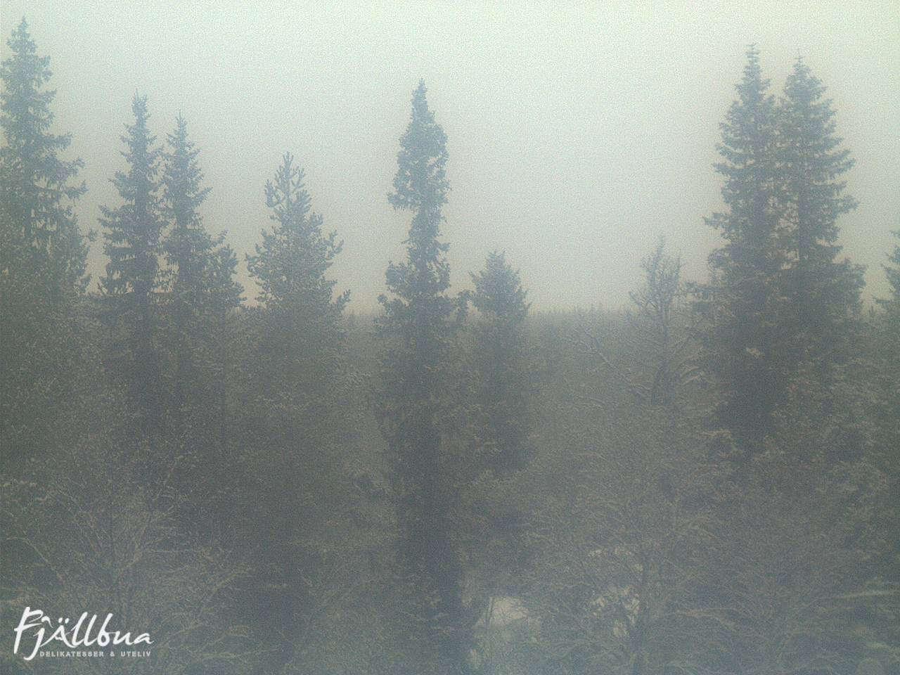 Fjällbua webcam 2024-12-21 14:30