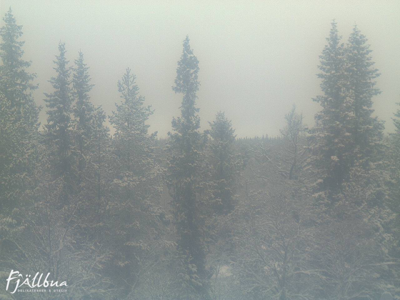 Fjällbua webcam 2024-12-22 10:00