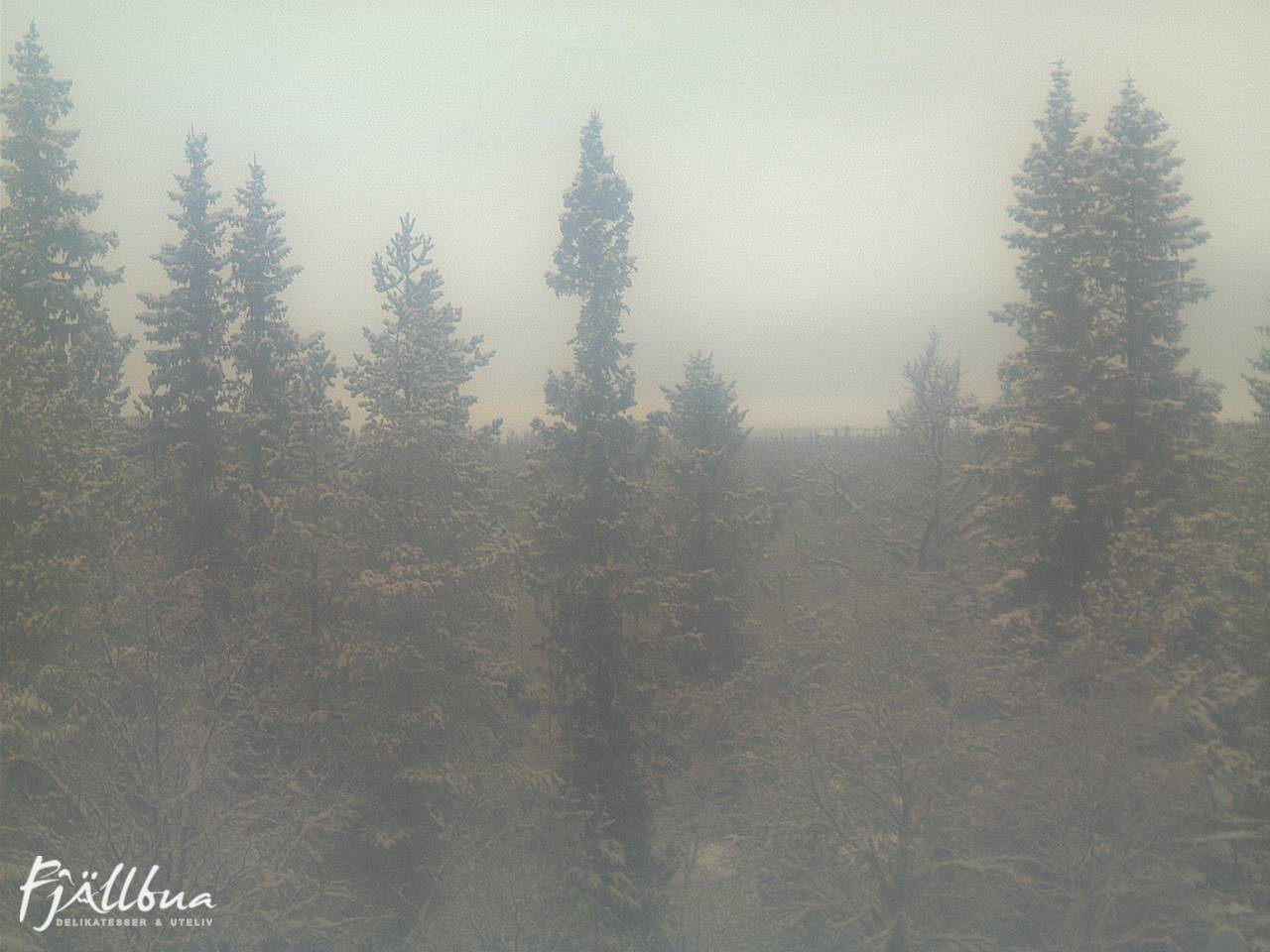 Fjällbua webcam 2024-12-22 12:30