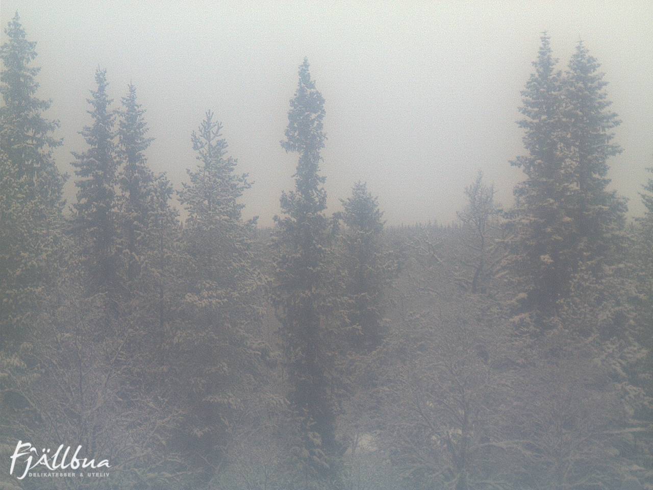 Fjällbua webcam 2024-12-22 13:30