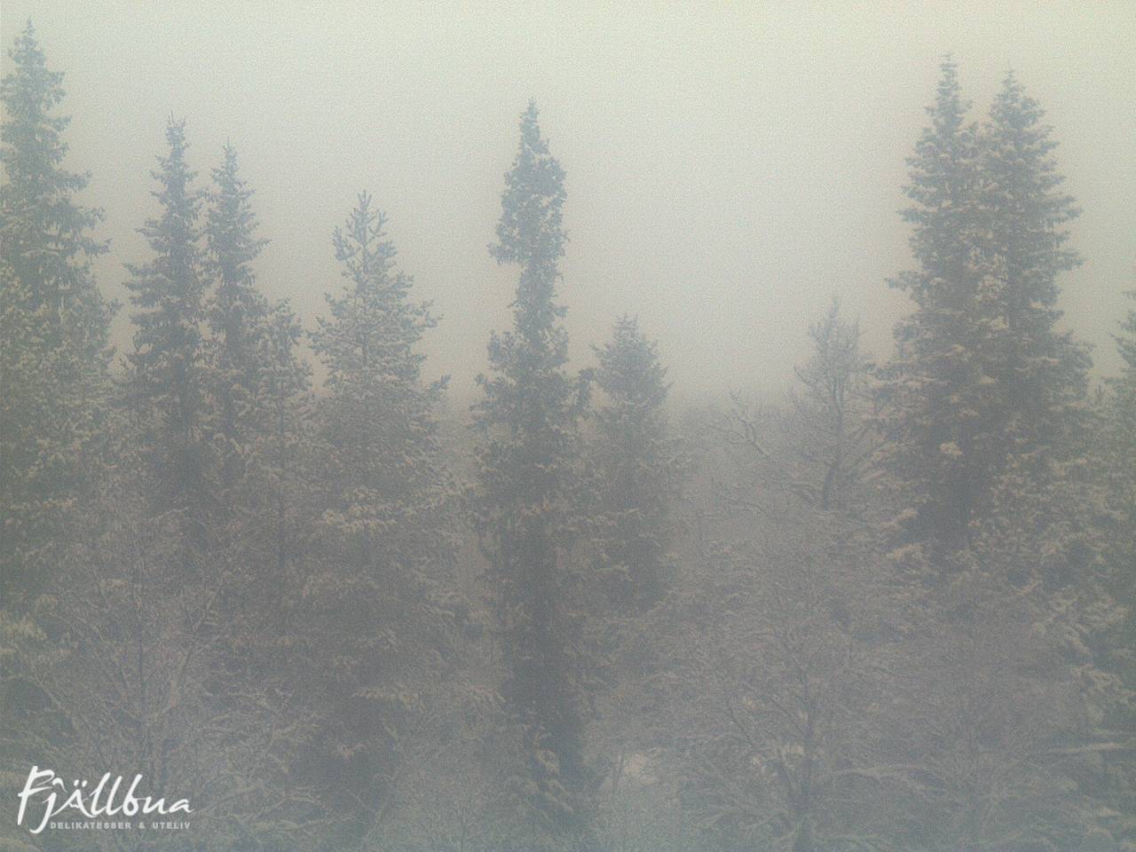 Fjällbua webcam 2024-12-22 14:00
