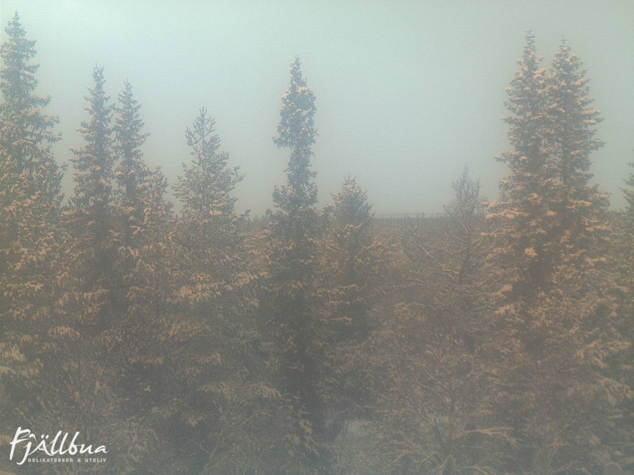 Fjällbua webcam 2024-12-23 10:30