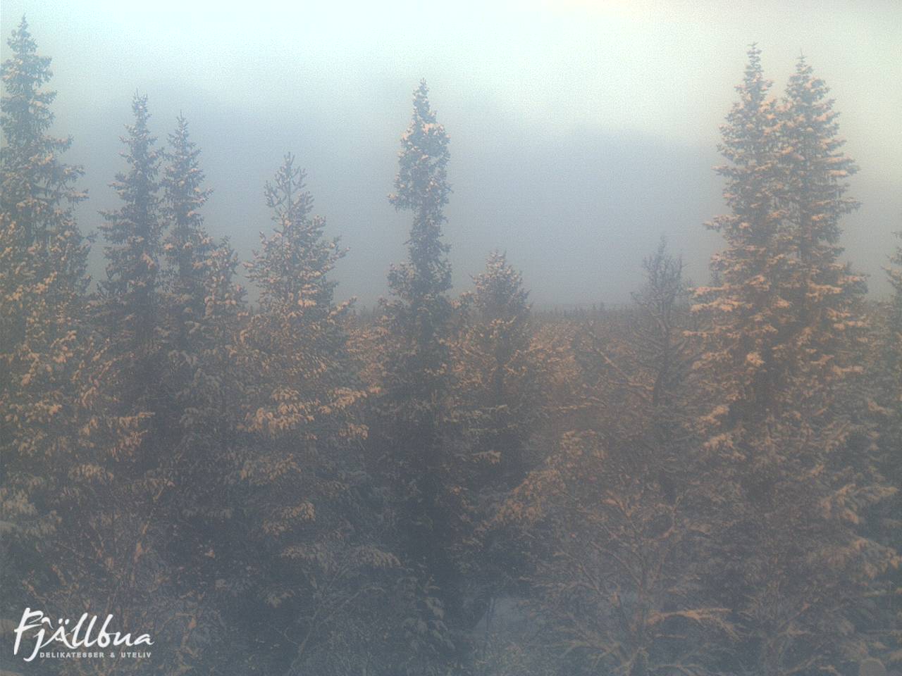 Fjällbua webcam 2024-12-23 11:00