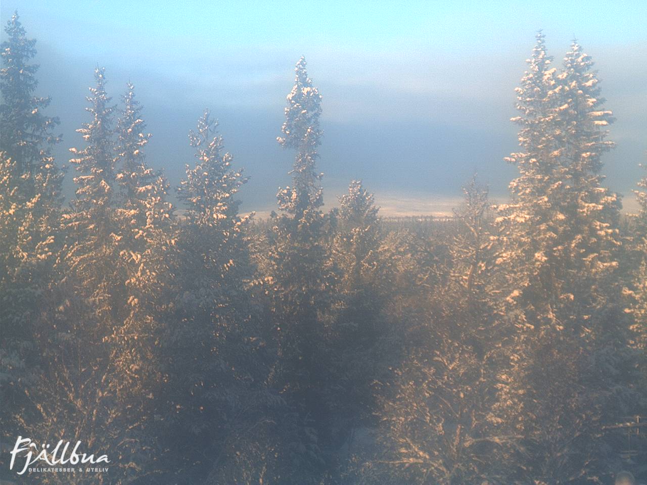Fjällbua webcam 2024-12-23 12:00