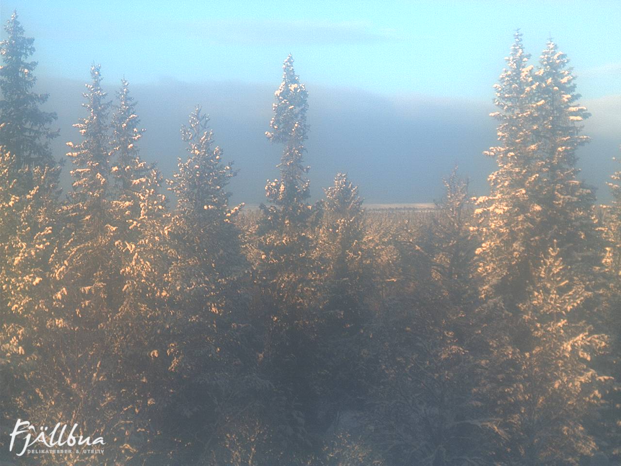 Fjällbua webcam 2024-12-23 12:30