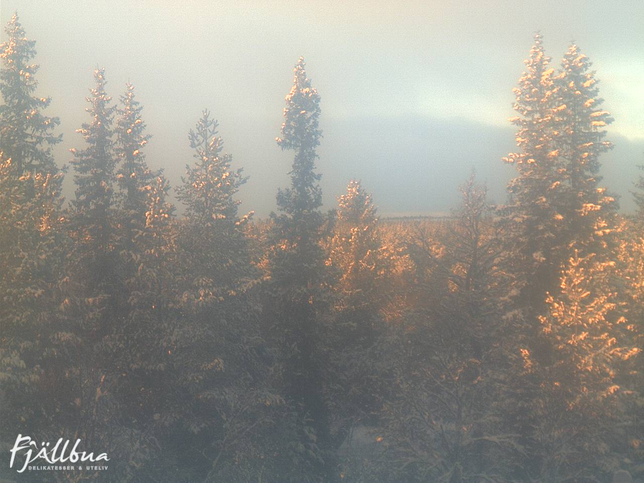 Fjällbua webcam 2024-12-23 13:30