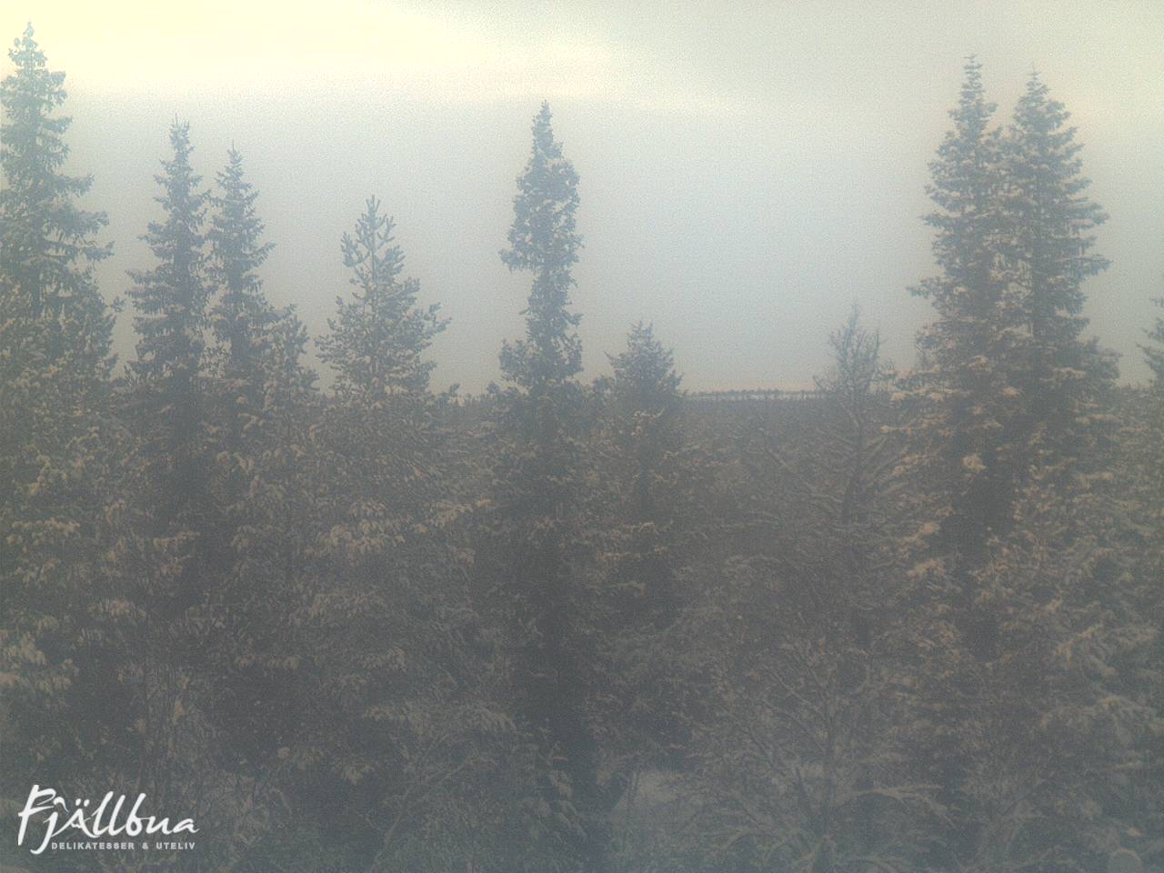 Fjällbua webcam 2024-12-23 14:30