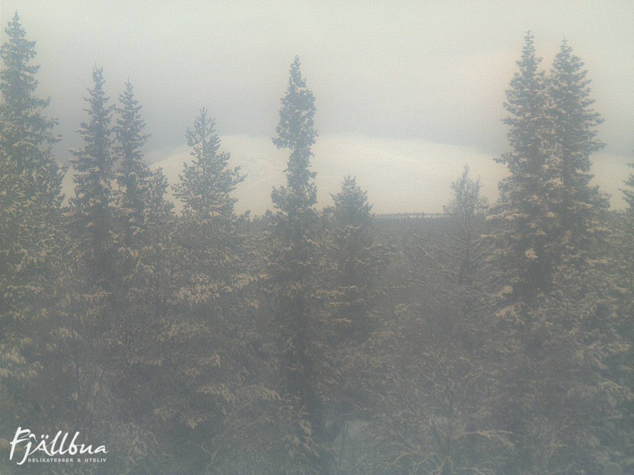 Fjällbua webcam 2024-12-24 10:00